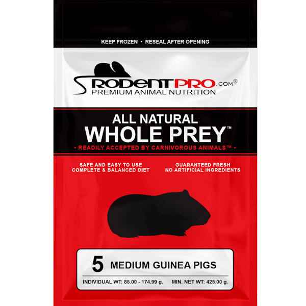 Frozen Medium Rats for Sale: Shop Online at RodentPro